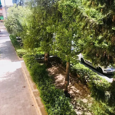 Apartamento Piso *